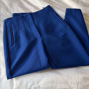 Zara Women's Blue Skinny Pants